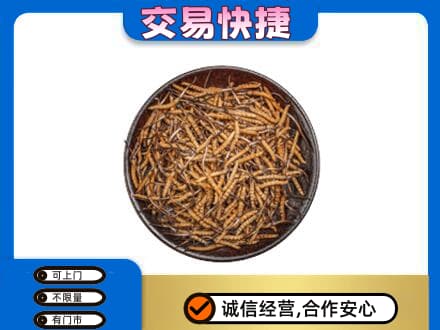 巢湖礼品回收虫草.jpg