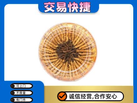 巢湖回收虫草礼盒